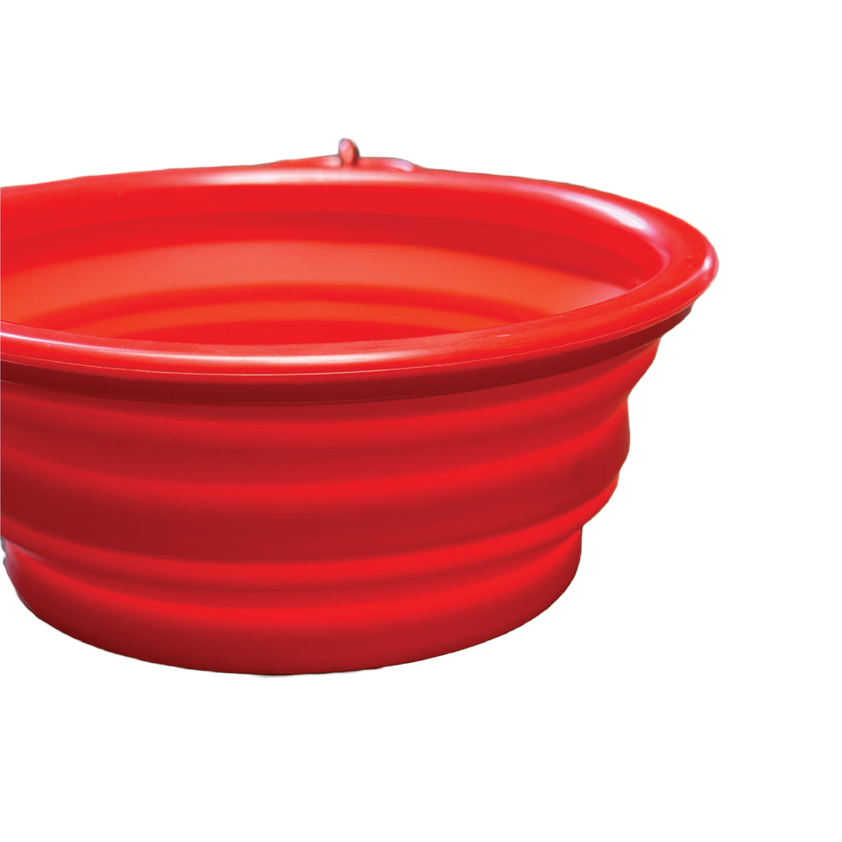 Collapsible Dog Bowl
